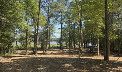 Photo #4 of 3 Lots Highgate Lane, Gloucester, Virginia 17.0 acres