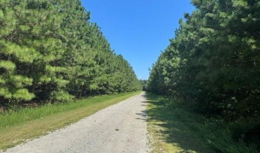 Photo #6 of 3 Lots Highgate Lane, Gloucester, Virginia 17.0 acres