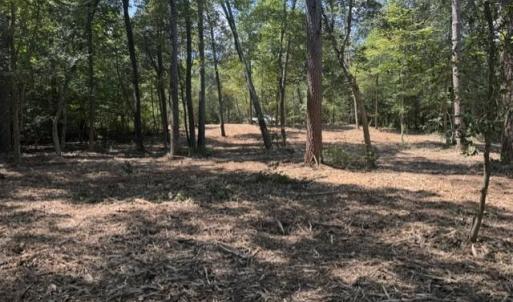 Photo #9 of 3 Lots Highgate Lane, Gloucester, Virginia 17.0 acres