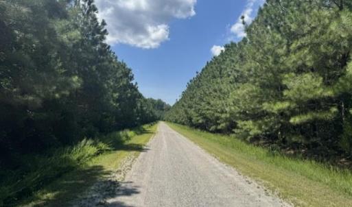Photo #10 of 3 Lots Highgate Lane, Gloucester, Virginia 17.0 acres