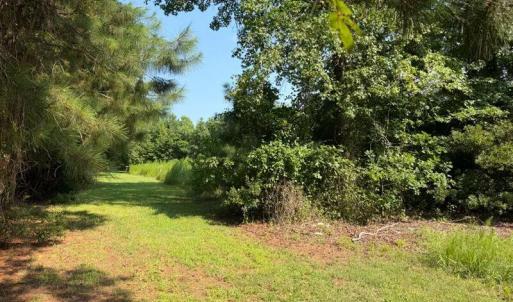 Photo #3 of 110 Hall Road, Hampton, Virginia 1.2 acres