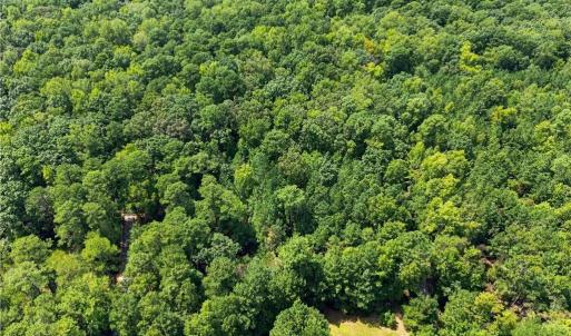 Photo #18 of Covey Point Lane, Gloucester, Virginia 12.9 acres