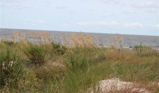 Photo #5 of 4016 Rugosa Rose Court, Norfolk, Virginia 0.2 acres