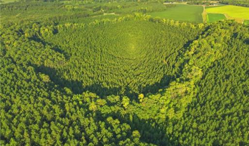 Photo #2 of TBD Brunswick Road, Emporia, Virginia 48.8 acres