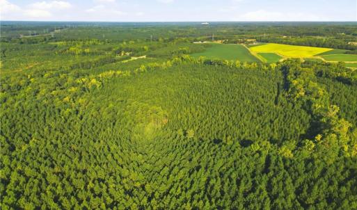 Photo #12 of TBD Brunswick Road, Emporia, Virginia 48.8 acres