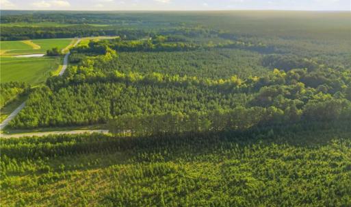 Photo #14 of TBD Brunswick Road, Emporia, Virginia 48.8 acres