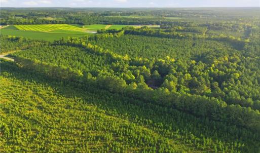 Photo #5 of TBD Brunswick Road, Emporia, Virginia 48.8 acres