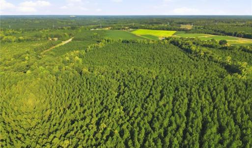 Photo #7 of TBD Brunswick Road, Emporia, Virginia 48.8 acres