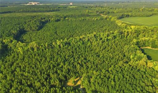 Photo #9 of TBD Brunswick Road, Emporia, Virginia 48.8 acres