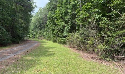 Photo #8 of Lot 23 Rivers Knoll, Heathsville, Virginia 3.5 acres