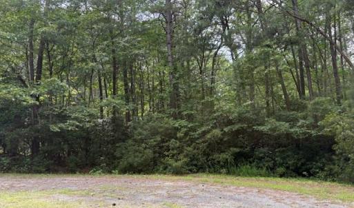 Photo #5 of Lot 28 Rivers Knoll, Heathsville, Virginia 2.7 acres