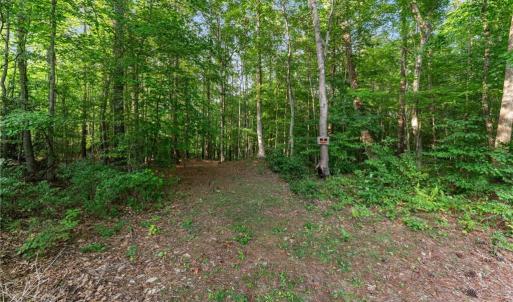 Photo #1 of Lot 9 Deerwood Court, Gloucester, Virginia 8.7 acres
