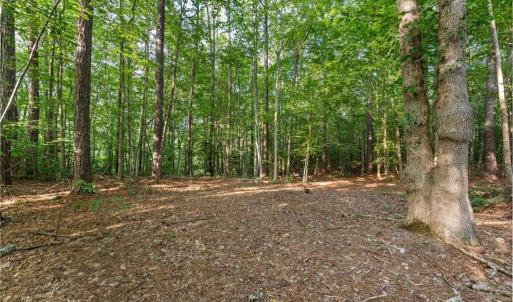 Photo #3 of Lot 9 Deerwood Court, Gloucester, Virginia 8.7 acres