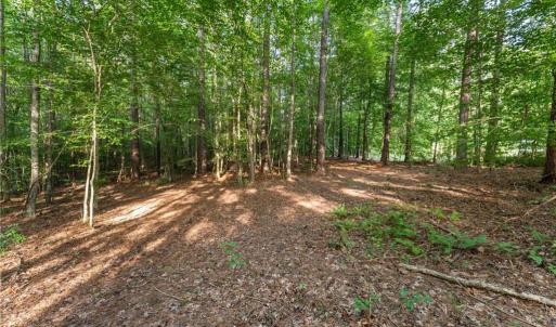 Photo #4 of Lot 9 Deerwood Court, Gloucester, Virginia 8.7 acres
