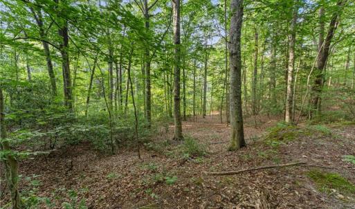 Photo #5 of Lot 9 Deerwood Court, Gloucester, Virginia 8.7 acres