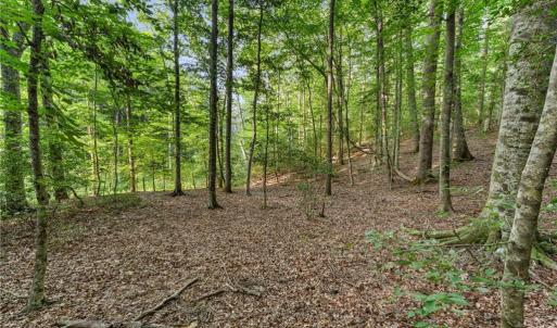 Photo #6 of Lot 9 Deerwood Court, Gloucester, Virginia 8.7 acres