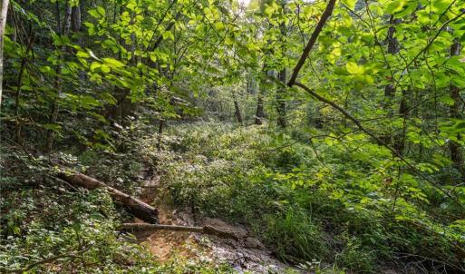 Photo #7 of Lot 9 Deerwood Court, Gloucester, Virginia 8.7 acres