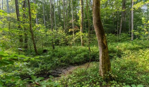 Photo #8 of Lot 9 Deerwood Court, Gloucester, Virginia 8.7 acres