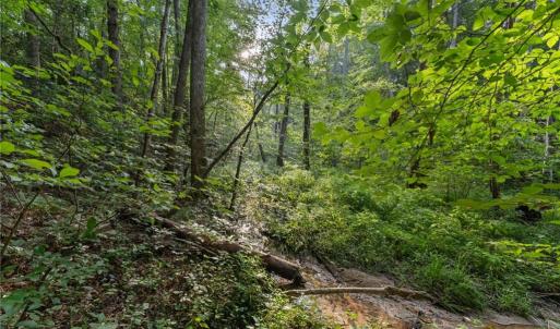 Photo #9 of Lot 9 Deerwood Court, Gloucester, Virginia 8.7 acres