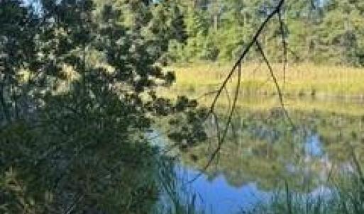 Photo #3 of 4 ACRE Gayle Way, Carrollton, Virginia 4.0 acres