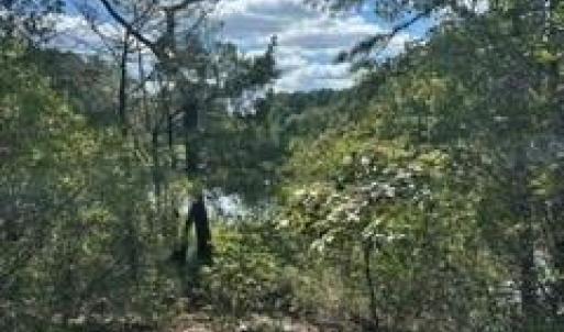 Photo #5 of 4 ACRE Gayle Way, Carrollton, Virginia 4.0 acres
