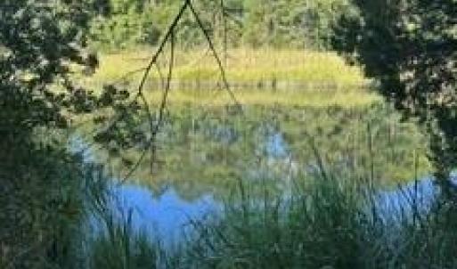 Photo #2 of 4 ACRE Gayle Way, Carrollton, Virginia 4.0 acres