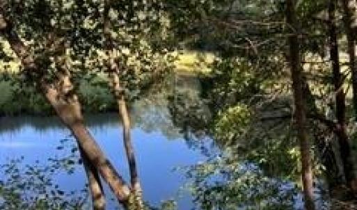 Photo #4 of 4 ACRE Gayle Way, Carrollton, Virginia 4.0 acres