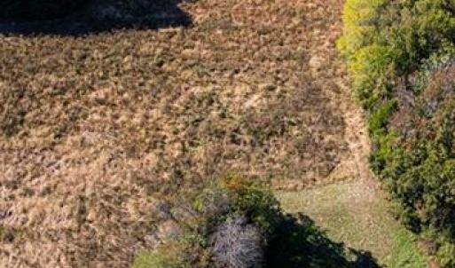 Photo #2 of 42-14 Chippokes Farm Road, Surry, Virginia 28.2 acres