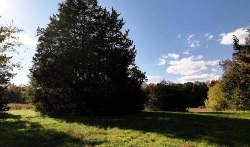 Photo #8 of 42-14 Chippokes Farm Road, Surry, Virginia 28.2 acres