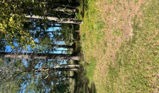 Photo #10 of LOT 8 LANDING Lane, North, Virginia 0.5 acres