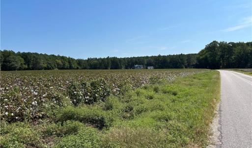 Photo #3 of 12 Ac Tar Road, Windsor, Virginia 12.3 acres