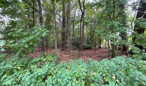 Photo #1 of MAPLE Drive, Chesapeake, Virginia 0.4 acres