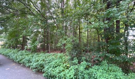 Photo #3 of MAPLE Drive, Chesapeake, Virginia 0.4 acres