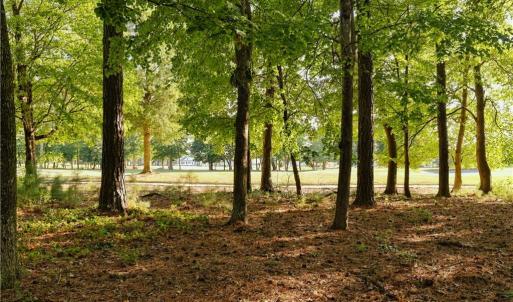 Rear property line backing up to golf course