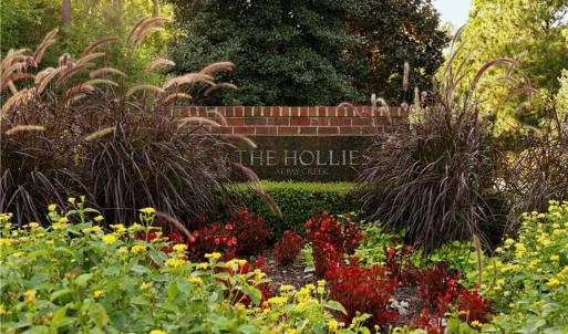 Hollies entrance