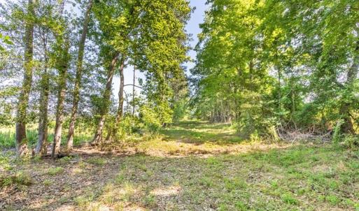 Photo #11 of 19041 The Glebe Lane, Charles City, Virginia 83.0 acres