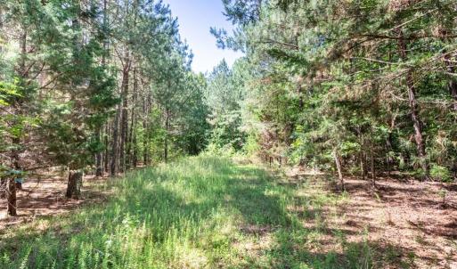 Photo #13 of 19041 The Glebe Lane, Charles City, Virginia 83.0 acres
