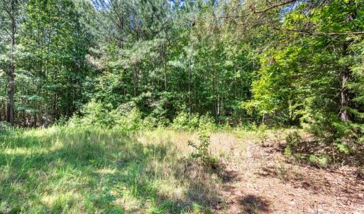 Photo #14 of 19041 The Glebe Lane, Charles City, Virginia 83.0 acres