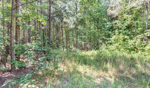 Photo #15 of 19041 The Glebe Lane, Charles City, Virginia 83.0 acres