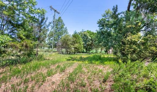 Photo #17 of 19041 The Glebe Lane, Charles City, Virginia 83.0 acres