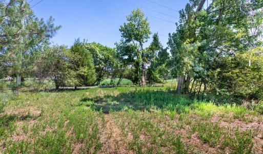 Photo #18 of 19041 The Glebe Lane, Charles City, Virginia 83.0 acres