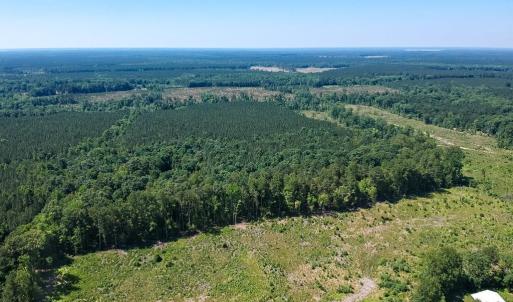 Photo #3 of 19041 The Glebe Lane, Charles City, Virginia 83.0 acres