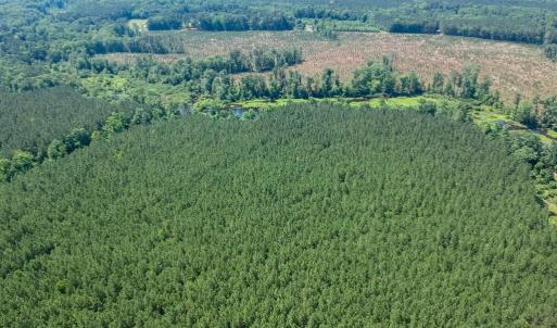 Photo #6 of 19041 The Glebe Lane, Charles City, Virginia 83.0 acres