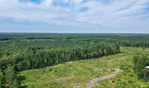 Photo #10 of 19041 The Glebe Lane, Charles City, Virginia 83.0 acres