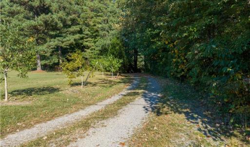 Pretty drive into the property