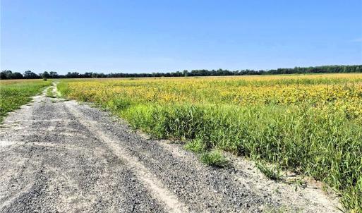 Photo #12 of 1769 Land Of Promise Road, Chesapeake, Virginia 25.0 acres