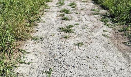 Photo #13 of 1769 Land Of Promise Road, Chesapeake, Virginia 25.0 acres
