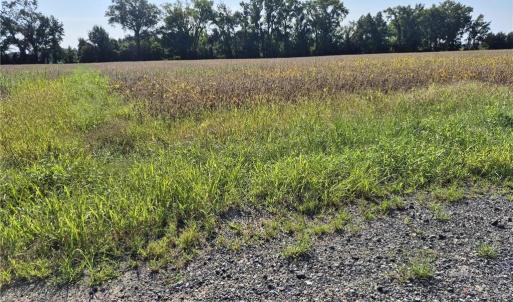Photo #11 of 1773 Land Of Promise Road, Chesapeake, Virginia 37.3 acres