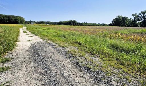 Photo #12 of 1773 Land Of Promise Road, Chesapeake, Virginia 37.3 acres
