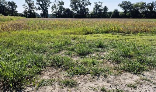 Photo #13 of 1773 Land Of Promise Road, Chesapeake, Virginia 37.3 acres